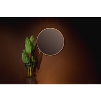  Silver Mirrors Зеркало Monaco Gold D100 LED-00002767 - Превью изображения №8 — Интернет-магазин Time-Shop