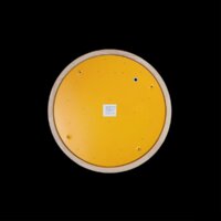 Светильник-тарелка LOFT IT Axel 10001/36 Yellow - Превью изображения №5 — Интернет-магазин Time-Shop