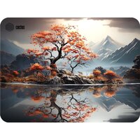 CACTUS CS-MP-PRO18XL