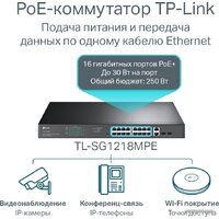 Настраиваемый коммутатор TP-Link TL-SG1218MPE V4.20 - Превью изображения №4 — Интернет-магазин Time-Shop