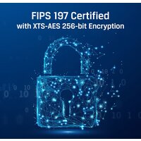 Внешний накопитель Kingston IronKey Vault Privacy 80 960GB IKVP80ES/960G - Превью изображения №11 — Интернет-магазин Time-Shop