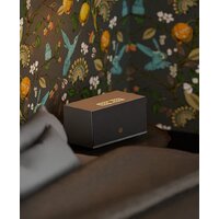 Беспроводная аудиосистема Audio Pro Addon C10 MkII (серый) - Превью изображения №5 — Интернет-магазин Time-Shop