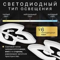 Припотолочная люстра Sundays Home R-40 6327 - Превью изображения №2 — Интернет-магазин Time-Shop