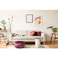 Очиститель воздуха Funai Yakata HAP-Y300S01W - Превью изображения №7 — Интернет-магазин Time-Shop