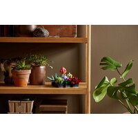 Конструктор LEGO Creator Expert 10309 Суккуленты - Превью изображения №8 — Интернет-магазин Time-Shop