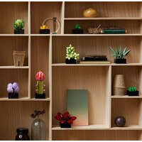 Конструктор LEGO Creator Expert 10309 Суккуленты - Превью изображения №2 — Интернет-магазин Time-Shop