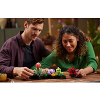 Конструктор LEGO Creator Expert 10309 Суккуленты - Превью изображения №3 — Интернет-магазин Time-Shop