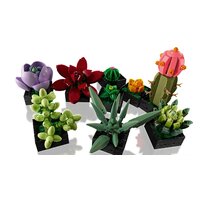 Конструктор LEGO Creator Expert 10309 Суккуленты - Превью изображения №6 — Интернет-магазин Time-Shop