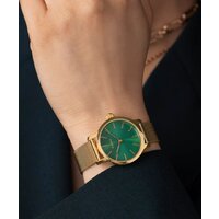 Наручные часы Timex TW2W87300 - Превью изображения №6 — Интернет-магазин Time-Shop