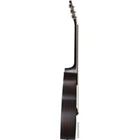 Акустическая гитара Baton Rouge X11LS/TB-SCC - Превью изображения №3 — Интернет-магазин Time-Shop