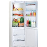 Холодильник POZIS RK-149 (бежевый) - Превью изображения №2 — Интернет-магазин Time-Shop