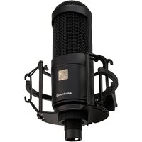 Проводной микрофон Radiotehnika MCD-01 - Превью изображения №2 — Интернет-магазин Time-Shop