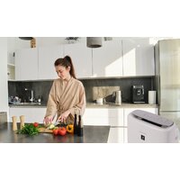 Климатический комплекс Sharp KI-N52EU-L - Превью изображения №15 — Интернет-магазин Time-Shop