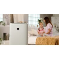 Климатический комплекс Sharp KI-N52EU-L - Превью изображения №14 — Интернет-магазин Time-Shop