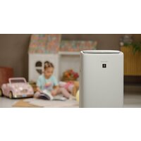 Климатический комплекс Sharp KI-N52EU-L - Превью изображения №16 — Интернет-магазин Time-Shop