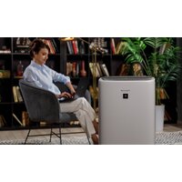 Климатический комплекс Sharp KI-N52EU-L - Превью изображения №17 — Интернет-магазин Time-Shop