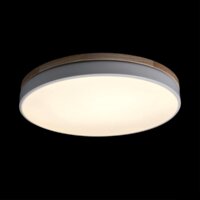 Светильник-тарелка LOFT IT Axel 10001/36 White - Превью изображения №2 — Интернет-магазин Time-Shop