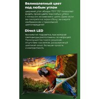 Телевизор MAUNFELD MLT43FSD02 - Превью изображения №6 — Интернет-магазин Time-Shop