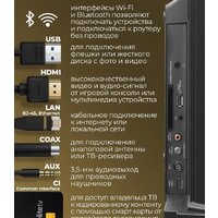 Телевизор MAUNFELD MLT43FSD02 - Превью изображения №8 — Интернет-магазин Time-Shop