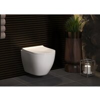 Унитаз подвесной Berges Wasserhaus Okus + Toma Slim SO + Novum525 + S3 043267 - Превью изображения №9 — Интернет-магазин Time-Shop