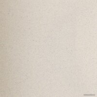 Кухонная мойка Wisent 420-30W (с сифоном GER013) - Превью изображения №5 — Интернет-магазин Time-Shop