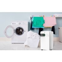 Осушитель воздуха Royal Clima Pacific Studio RD-PC12-EW - Превью изображения №6 — Интернет-магазин Time-Shop