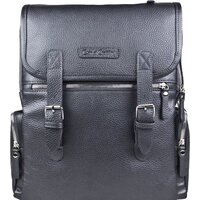 Carlo Gattini Premium Santerno 3007-55 (железно-серый)