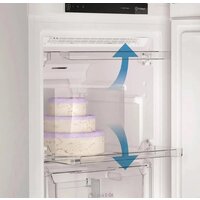 Морозильник Indesit DFZ 5175 G - Превью изображения №5 — Интернет-магазин Time-Shop