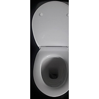 Сиденье для унитаза Roca Victoria Nord ZRU9302919 - Превью изображения №3 — Интернет-магазин Time-Shop