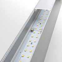 Подсветка для картин Elektrostandard 101-100-40-128 50W 6500K (матовое серебро) - Превью изображения №3 — Интернет-магазин Time-Shop