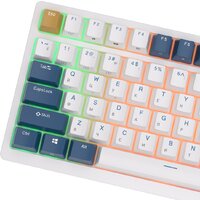 Клавиатура Royal Kludge RK98 RGB Klein Blue (RK Brown) - Превью изображения №7 — Интернет-магазин Time-Shop