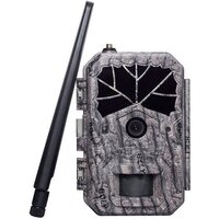 BolyGuard BG636-48M