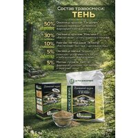 Семена АГРОСЕМСЕРВИС Тень (10 кг) - Превью изображения №2 — Интернет-магазин Time-Shop