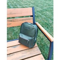 Carlo Gattini Premium Anzolla 3040-59 (золотой киви)