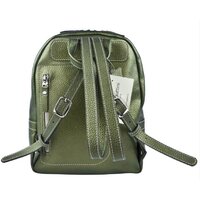 Городской рюкзак Carlo Gattini Premium Anzolla 3040-59 (золотой киви) - Превью изображения №4 — Интернет-магазин Time-Shop