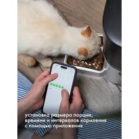 Кормушка электронная Sundays Easy Feed Pro HWN250303-1 - Превью изображения №5 — Интернет-магазин Time-Shop