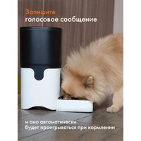 Кормушка электронная Sundays Easy Feed Pro HWN250303-1 - Превью изображения №8 — Интернет-магазин Time-Shop