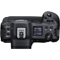 Беззеркальный фотоаппарат Canon EOS R3 Body - Превью изображения №4 — Интернет-магазин Time-Shop