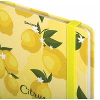Ежедневник BRAUBERG Lemons 113727 - Превью изображения №4 — Интернет-магазин Time-Shop