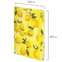 Ежедневник BRAUBERG Lemons 113727 - Превью изображения №2 — Интернет-магазин Time-Shop