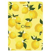 Ежедневник BRAUBERG Lemons 113727 - Превью изображения №7 — Интернет-магазин Time-Shop