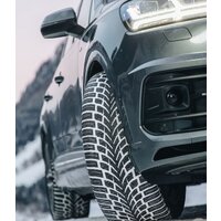 Зимние шины Nokian Tyres WR SUV 4 235/60R17 106H - Превью изображения №4 — Интернет-магазин Time-Shop