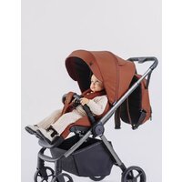 Коляска прогулочная «книга» Rant Golf RA101 (maroon brown) - Превью изображения №2 — Интернет-магазин Time-Shop