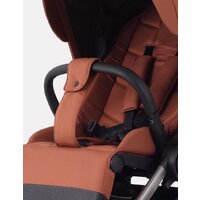 Коляска прогулочная «книга» Rant Golf RA101 (maroon brown) - Превью изображения №34 — Интернет-магазин Time-Shop