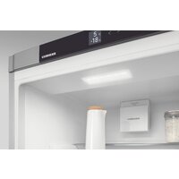 Холодильник Liebherr ICNe 5103 Pure NoFrost - Превью изображения №10 — Интернет-магазин Time-Shop