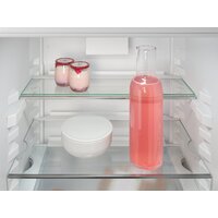 Холодильник Liebherr ICNe 5103 Pure NoFrost - Превью изображения №9 — Интернет-магазин Time-Shop