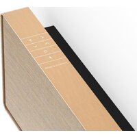 Саундбар Bang & Olufsen Beosound Stage (золотистый) - Превью изображения №4 — Интернет-магазин Time-Shop