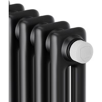 Стальной трубчатый радиатор Royal Thermo Insignia VC2180 - 08 секций RAL9005m - Превью изображения №3 — Интернет-магазин Time-Shop