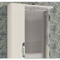 Vigo Шкаф с зеркалом Callao 60 (с подсветкой, левый)