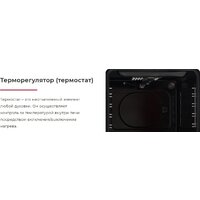 Электрический духовой шкаф GEFEST ДА 622 К2 - Превью изображения №6 — Интернет-магазин Time-Shop